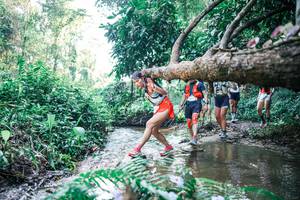 BIB: 
                            <button type="button" onclick="openModal(25443954)" class="btn btn-primary btn-sm float-right btn-popup" data-toggle="modal" data-target=".modal-high-quality">
                        <i class="fas fa-shopping-cart"></i> Add to Cart
                    </button>
                                            <button type="button" onclick="isThisMe(25443954, true)" class="btn btn-success btn-sm float-right btn-popup btn-isme hidden" data-toggle="tooltip" data-placement="bottom" title="นี่คือรูปของคุณใช่ไหม คลิกที่นี่เพื่อเอาเข้าอัลบั้ม">
                        <i class="fas fa-plus"></i> Add to album
                    </button>
                    <button type="button" onclick="isThisMe(25443954, false)" class="btn btn-warning btn-sm float-right btn-popup btn-isnotme hidden">
                        <i class="fas fa-ban"></i> Remove from album
                    </button>